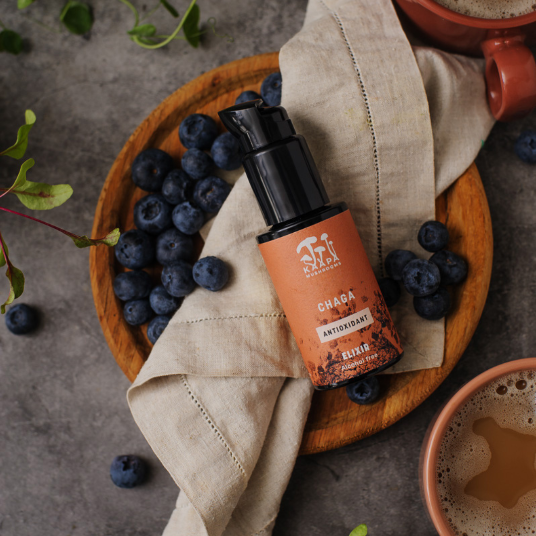 Chaga Antioxidant Elixir