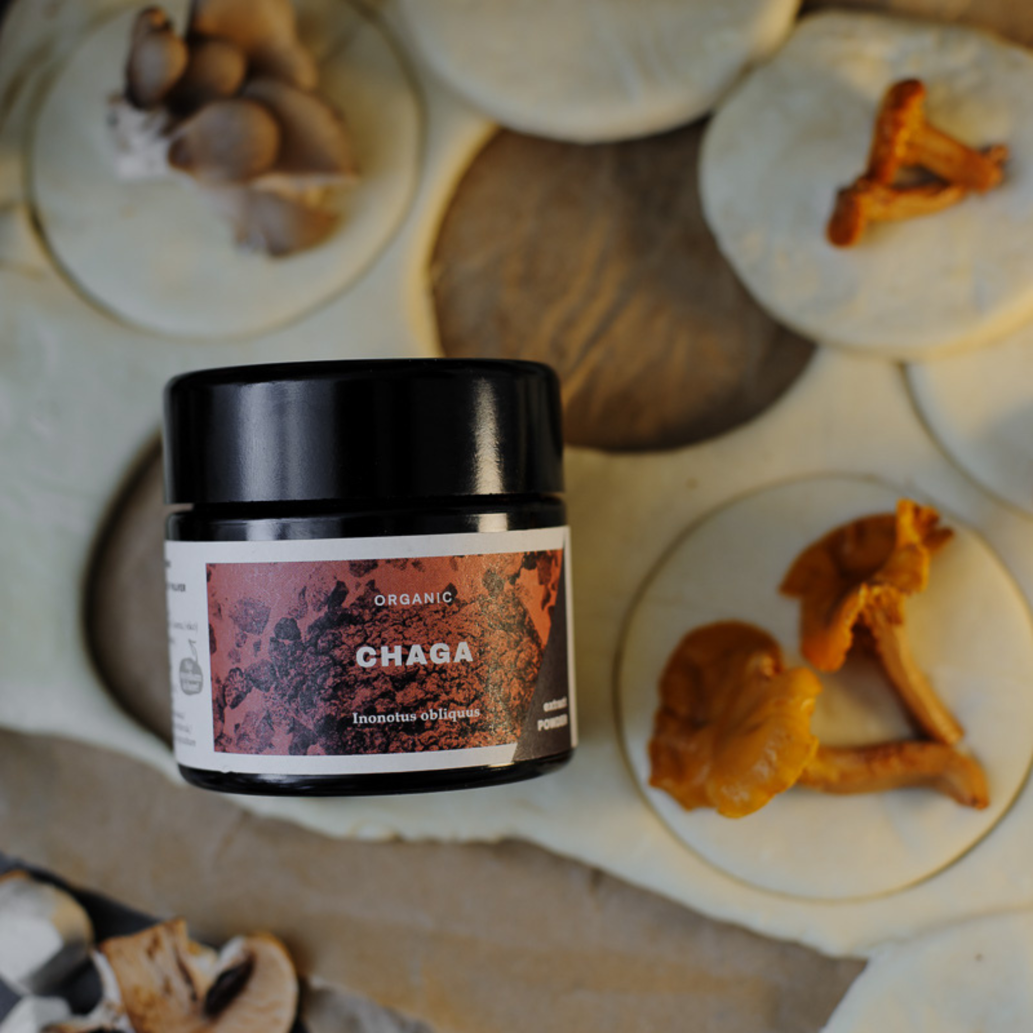 Chaga Organic Extract Powder 30g POS - KÄÄPÄ Mushrooms