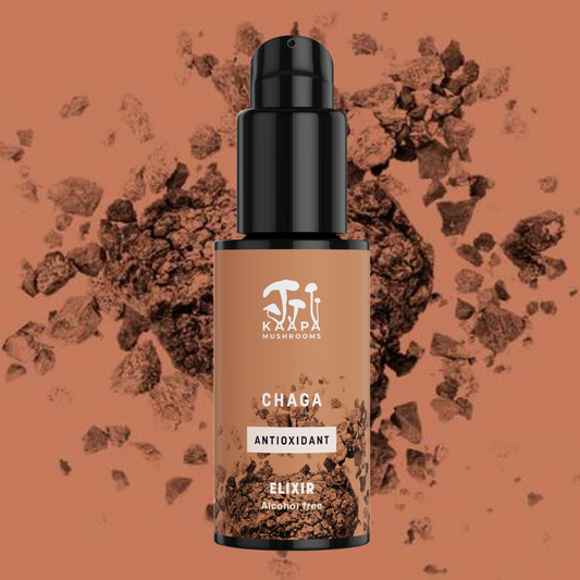 Chaga Antioxidant Elixir