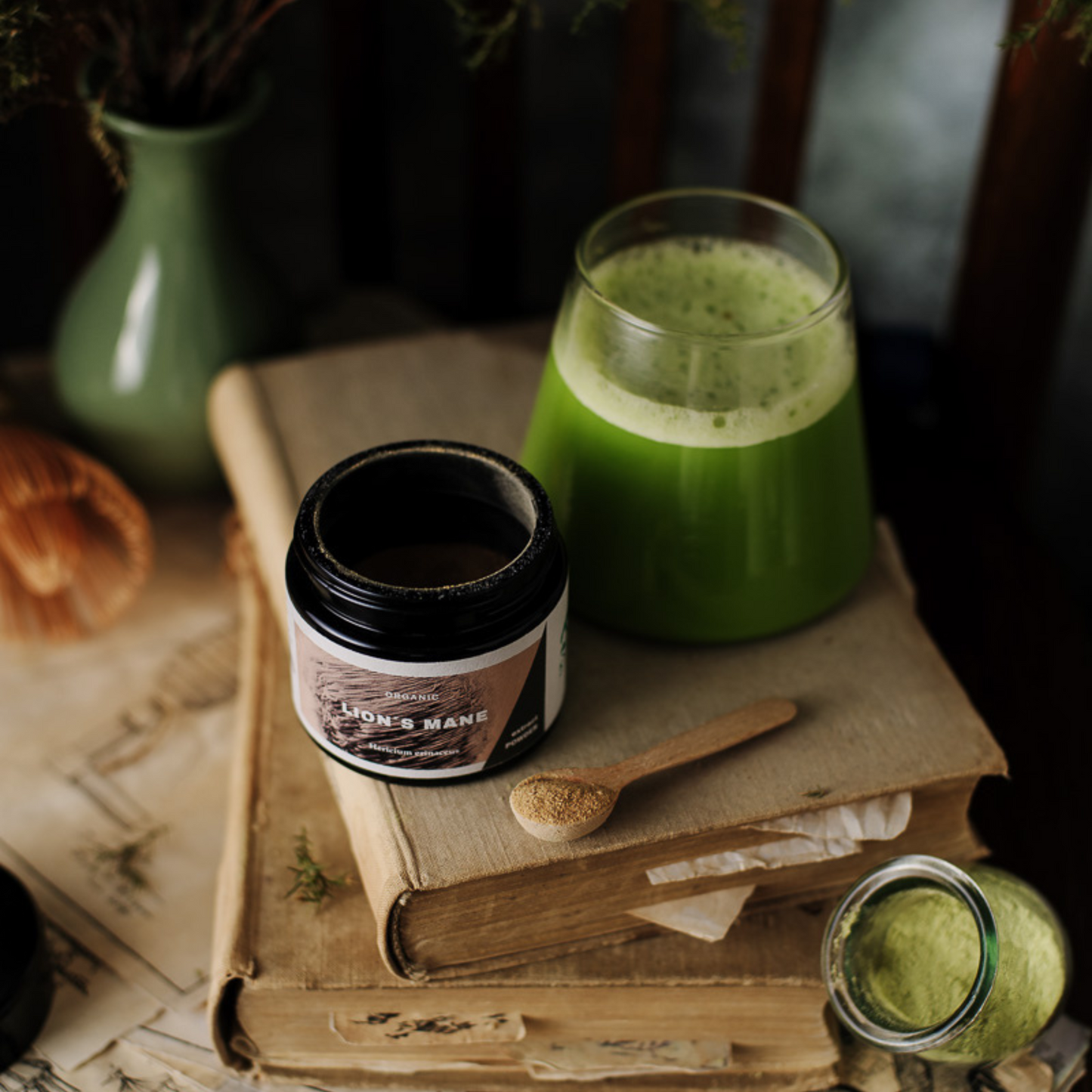 Lion’s Mane Organic Extract Powder 30g - KÄÄPÄ Mushrooms