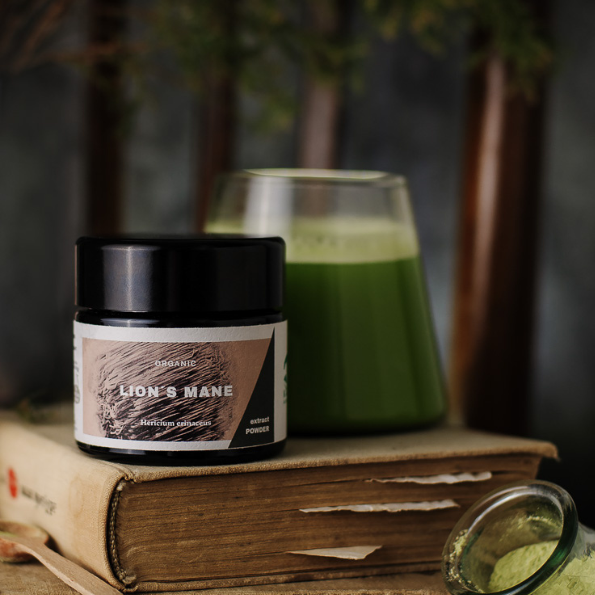 Lion’s Mane Organic Extract Powder 30g - KÄÄPÄ Mushrooms