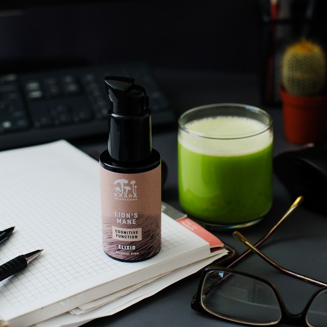Lion’s Mane Cognitive function Elixir