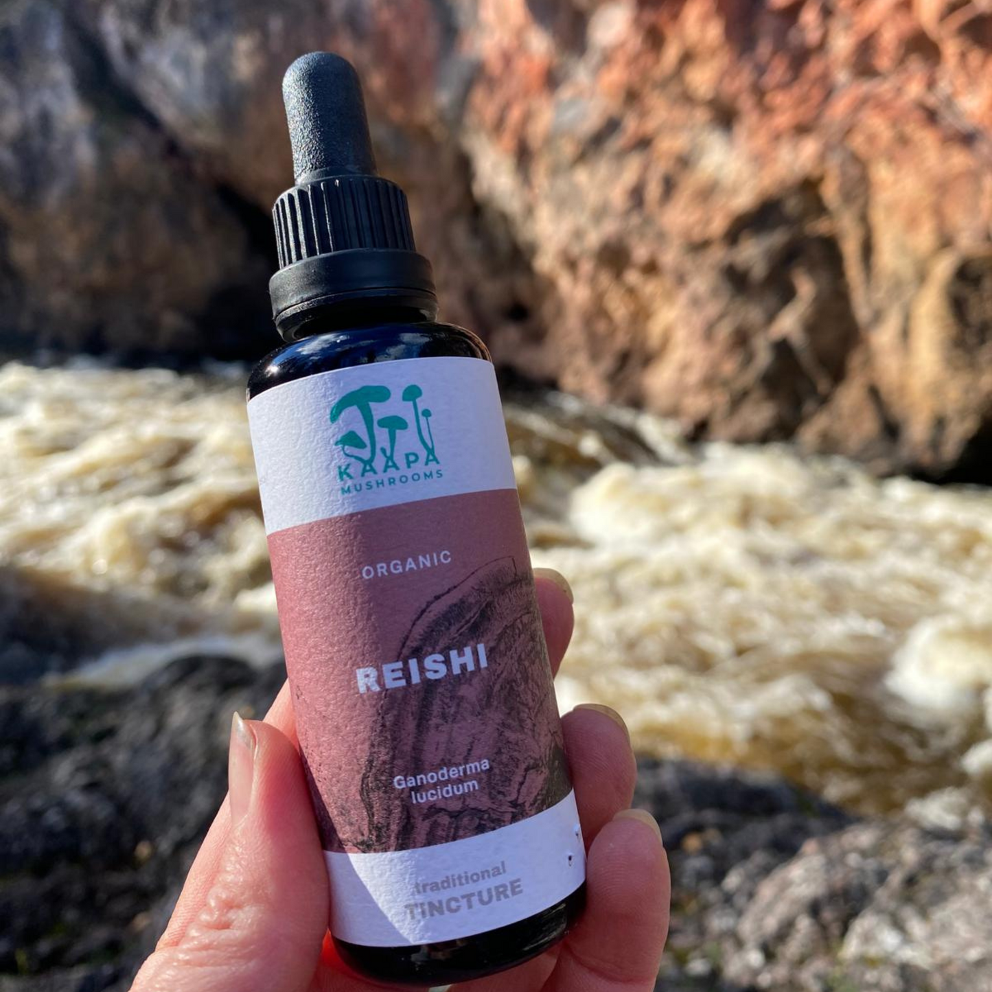 Reishi Organic Tincture