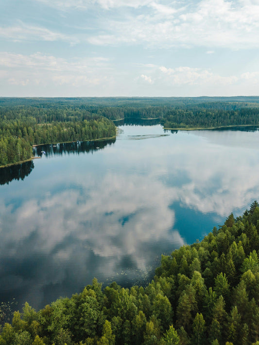 Discover Finland, the land of sauna and lakes 🇫🇮 - KÄÄPÄ Mushrooms