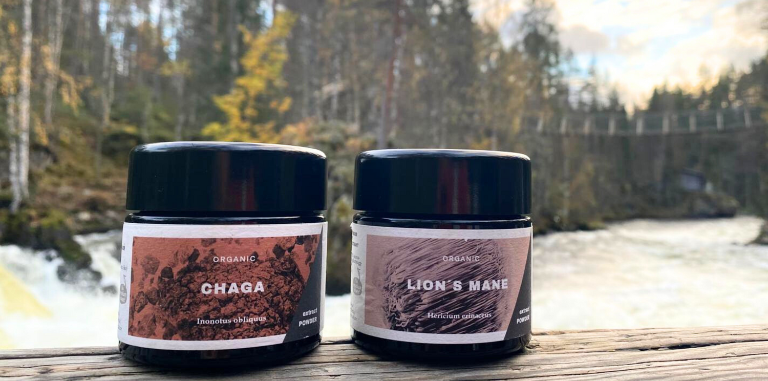 Organic Mushroom Powders