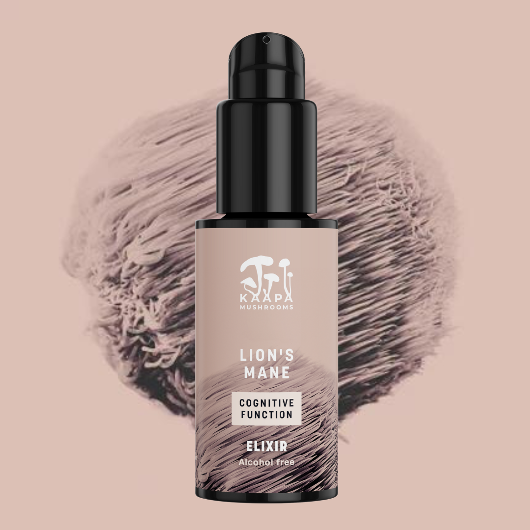Lion’s Mane Cognitive function Elixir