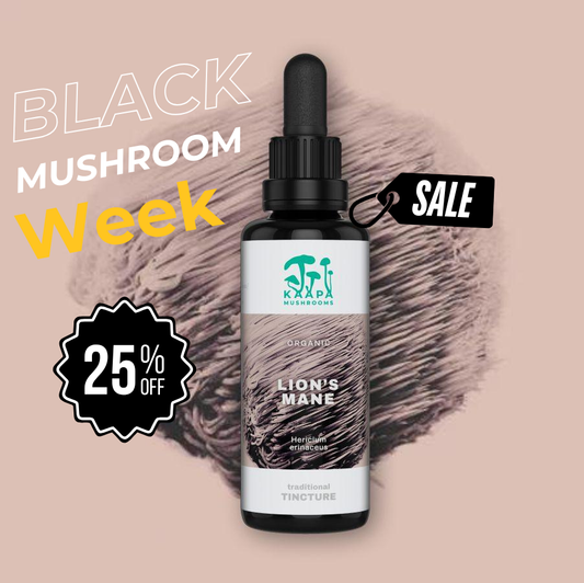 Lion's Mane Organic Tincture