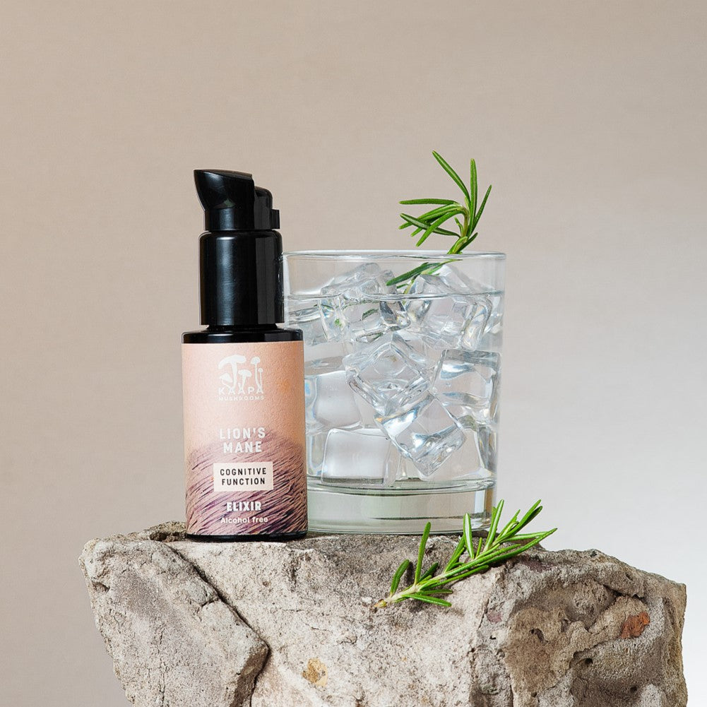 Lion’s Mane Cognitive function Elixir