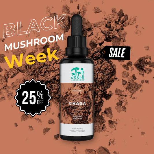 Chaga Organic Tincture