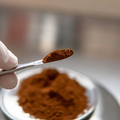 product-1-1 Chaga Organic Extract Powder 30g - KÄÄPÄ Mushrooms