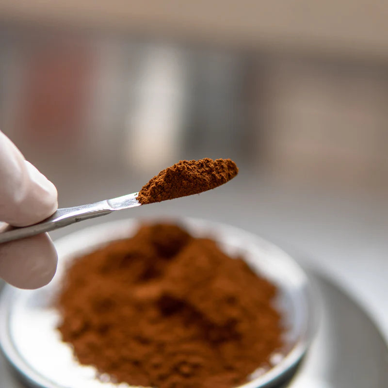 Chaga Mushroom Extract supplier Yangge Biotech Chaga Mushroom Extract supplier Yangge Biotech